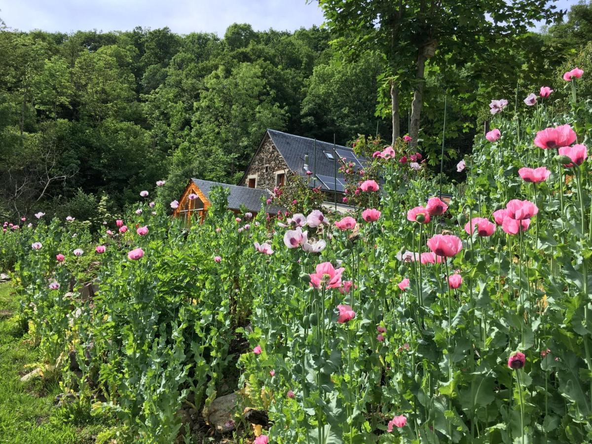 D'hotes Le Lepadou-bas 3* Saint-Chély-dʼAubrac