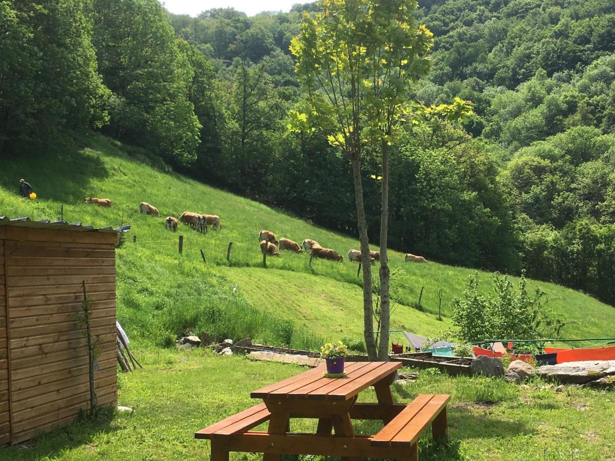 Bed & Breakfast D'hotes Le Lepadou-bas Saint-Chély-dʼAubrac