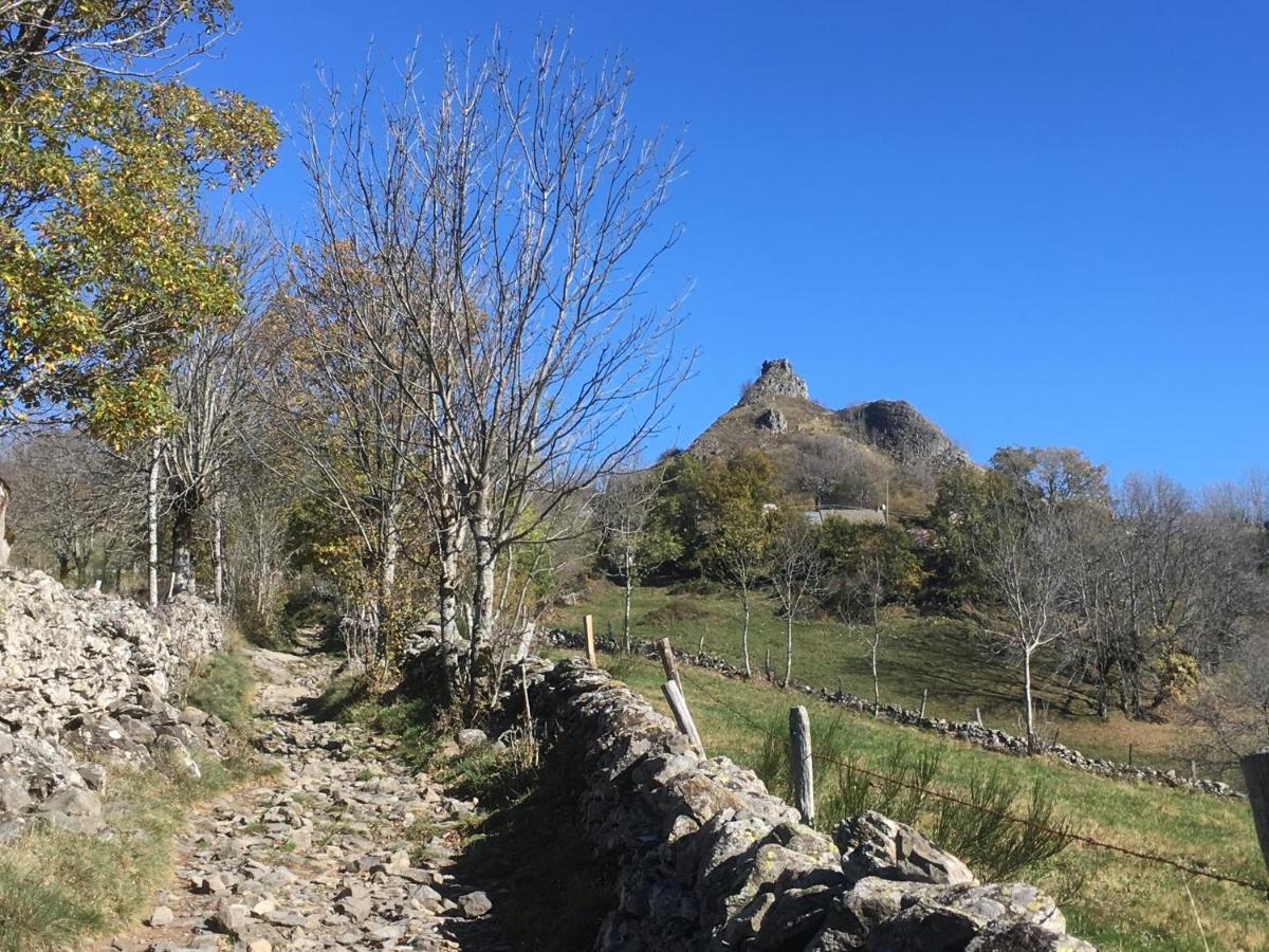 Bed & Breakfast D'hotes Le Lepadou-bas Saint-Chély-dʼAubrac